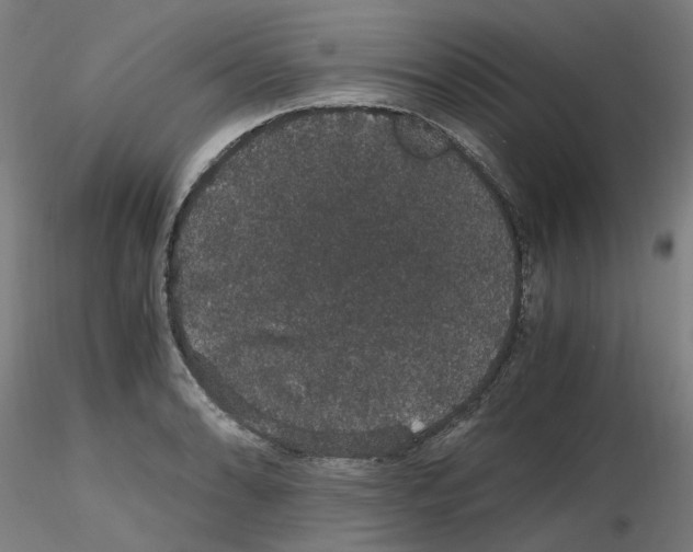 X0000116121086201001040945