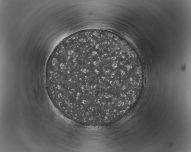 X0000116121087201001040945
