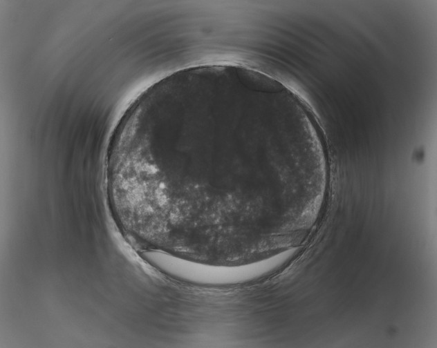 X0000116121088201001040945
