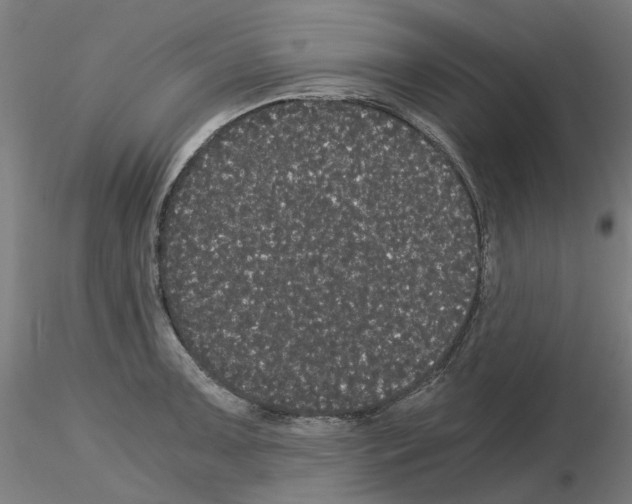 X0000116121091201001040945