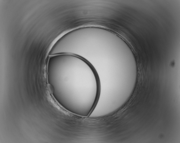 X0000116121092201001040945