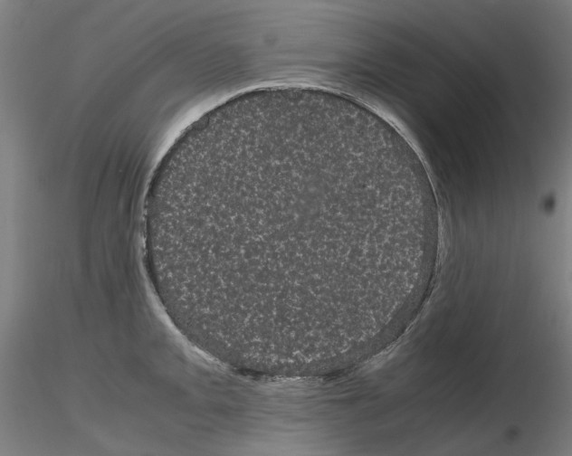 X0000116121093201001040945