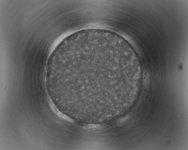 X0000116121094201001040945