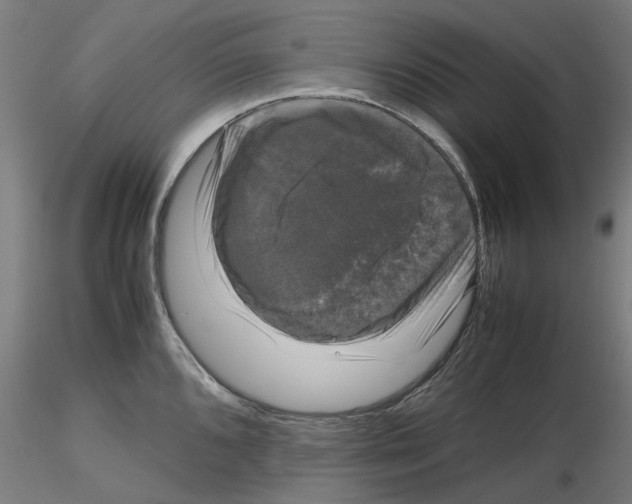 X0000116121096201001040945