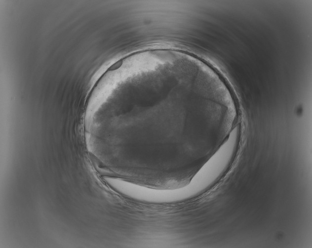 X0000116121097201001040945