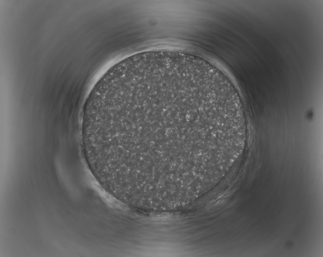 X0000116121099201001040945