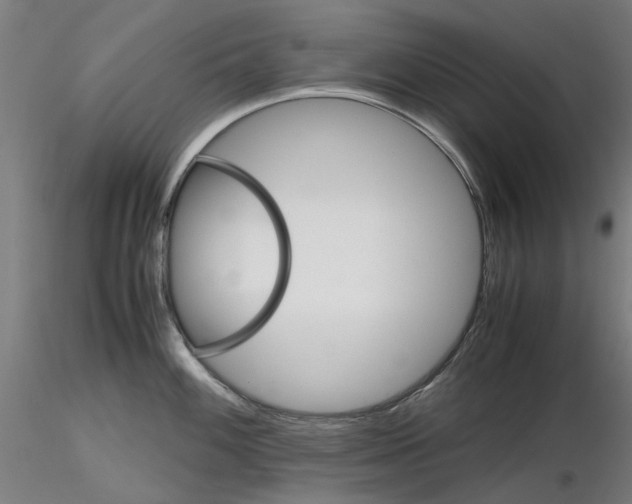 X0000116121100201001040945