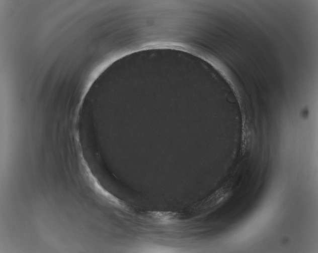 X0000116121102201001040945
