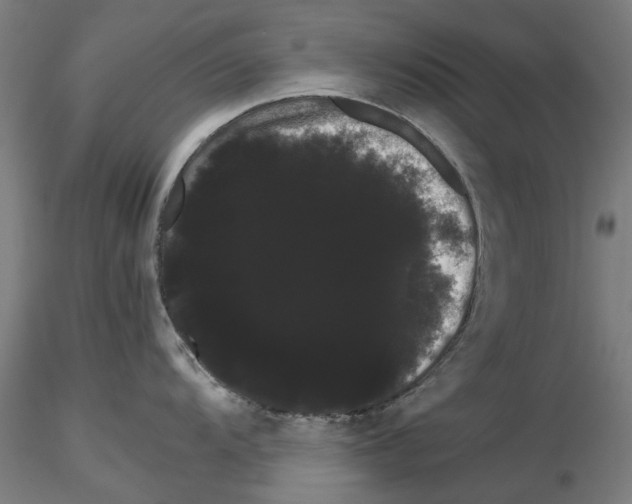 X0000116121104201001040945
