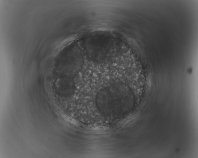 X0000116121105201001040944