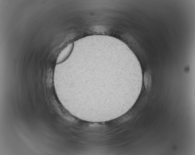 X0000116121107201001040944