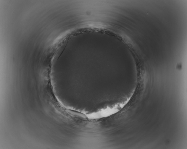 X0000116121110201001040944