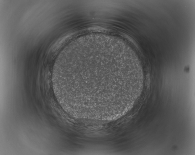 X0000116121111201001040944