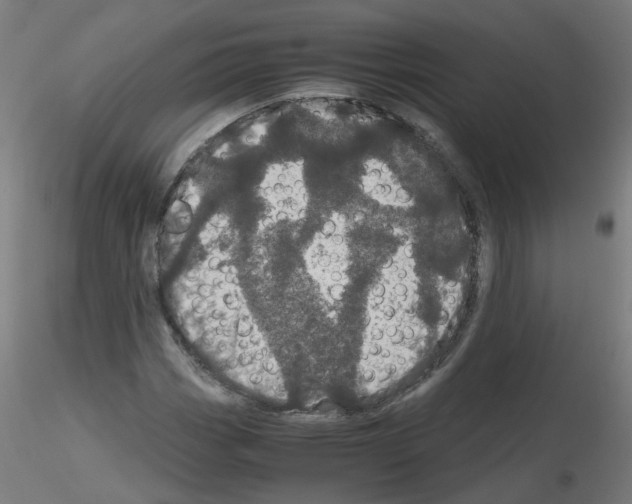X0000116121113201001040944