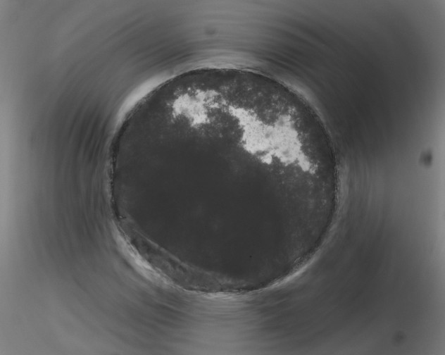 X0000116121114201001040944
