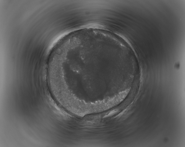X0000116121115201001040944