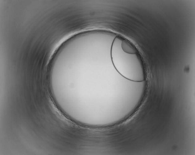 X0000116121118201001040944