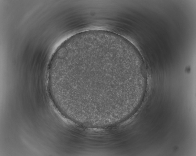 X0000116121119201001040944