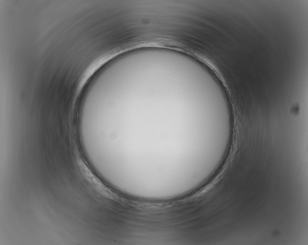 X0000116121122201001040945