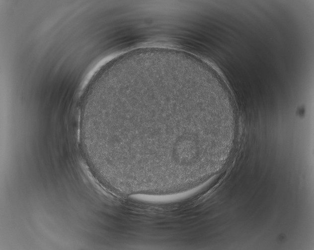 X0000116121123201001040945