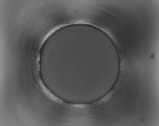 X0000116121126201001040945