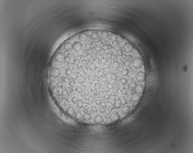 X0000116121130201001040945