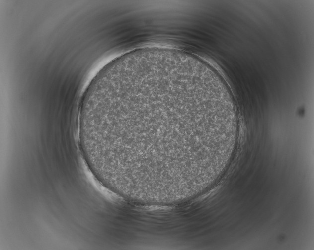 X0000116121131201001040945