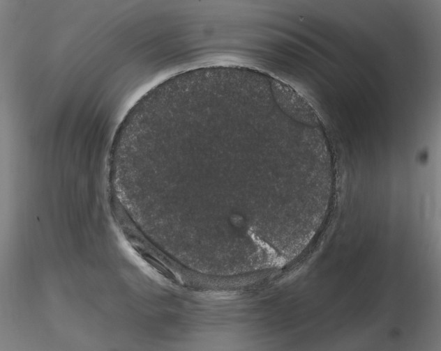 X0000116121134201001040945