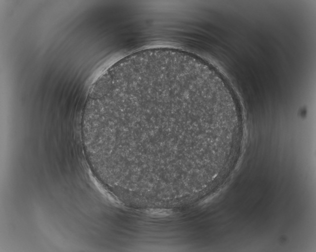 X0000116121137201001040945