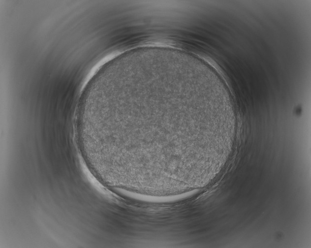 X0000116121139201001040945