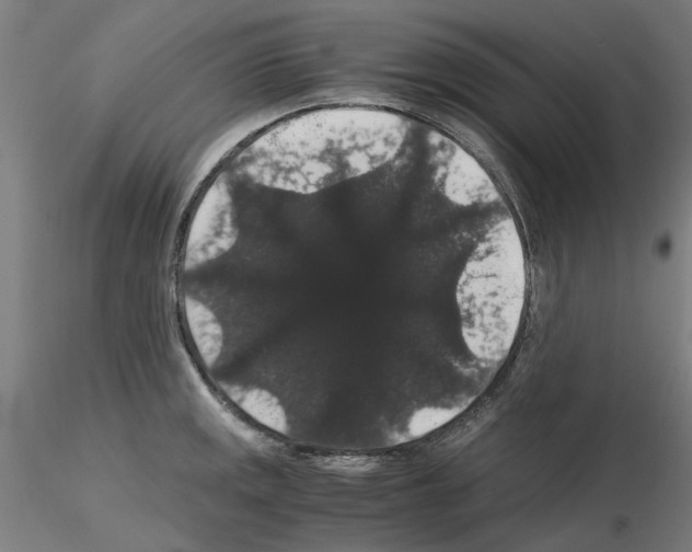 X0000116121141201001040945