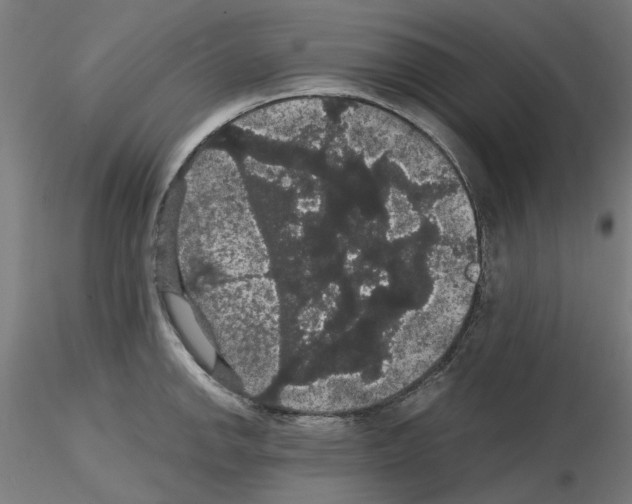 X0000116121142201001040945