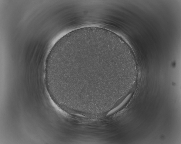 X0000116121143201001040945