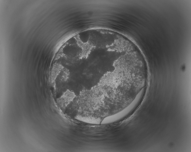 X0000116121145201001040945