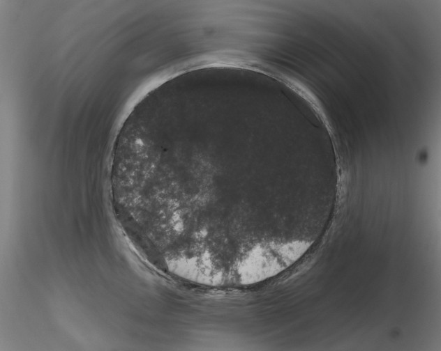 X0000116121146201001040945