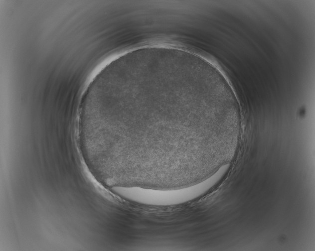 X0000116121147201001040945