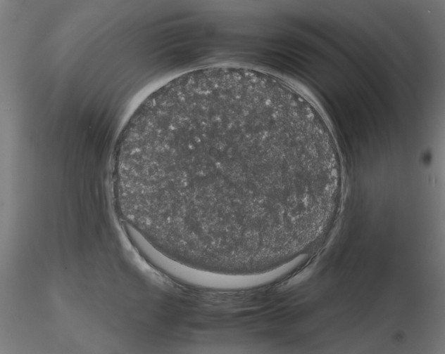 X0000116121149201001040945