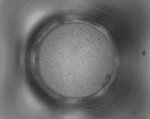X0000116121150201001040945
