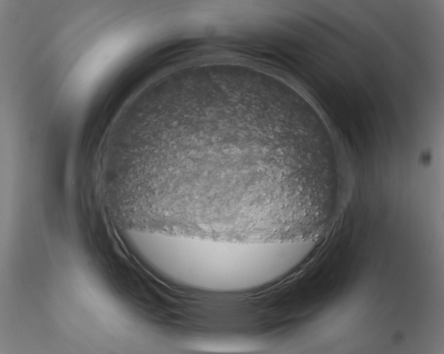 X0000116121151201001040945