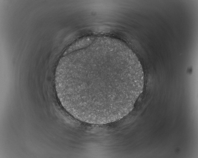 X0000116121153201001040944