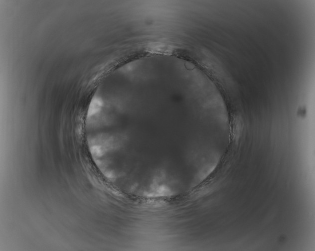 X0000116121154201001040944