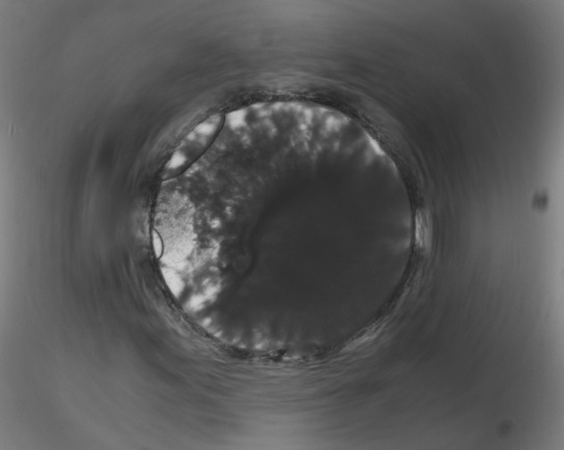 X0000116121155201001040944