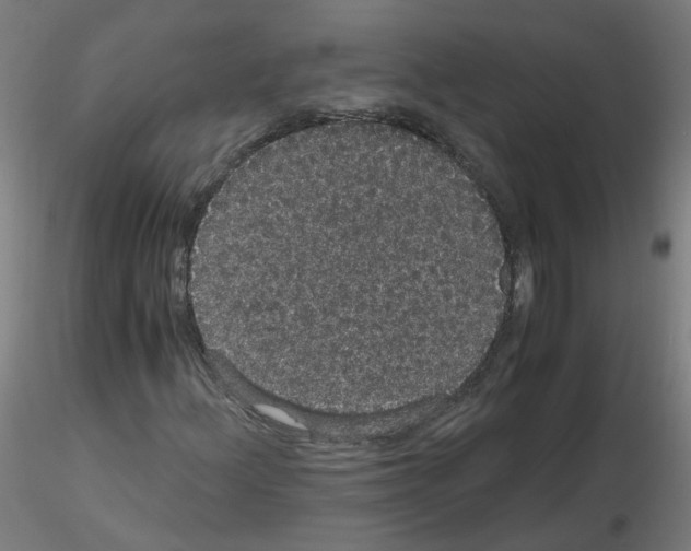 X0000116121156201001040944