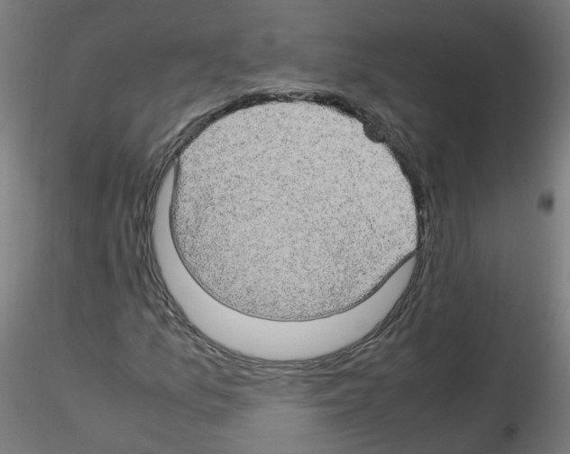 X0000116121157201001040944