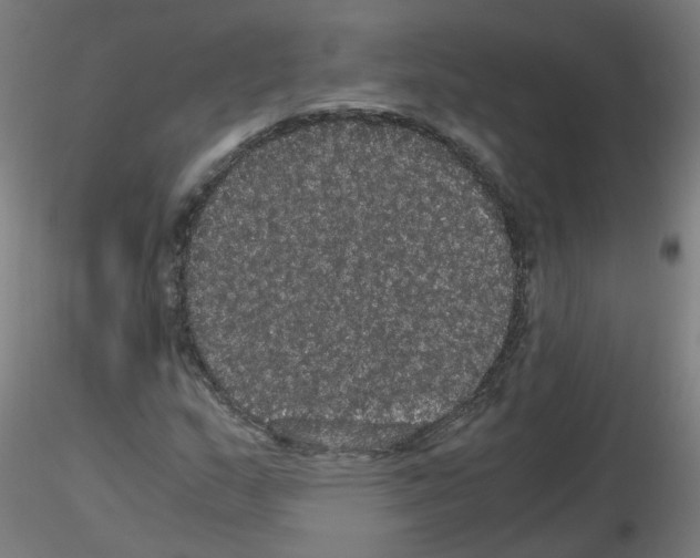 X0000116121159201001040944