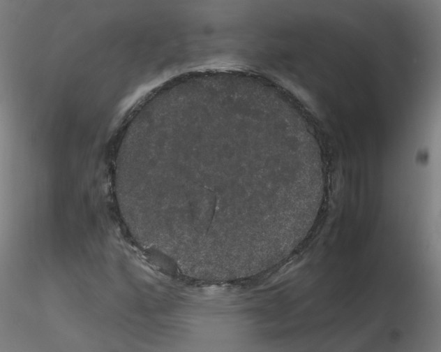 X0000116121160201001040944