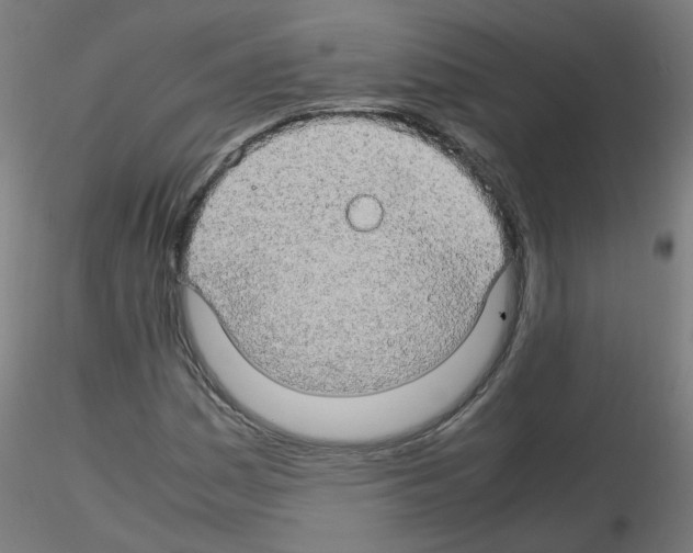 X0000116121161201001040944