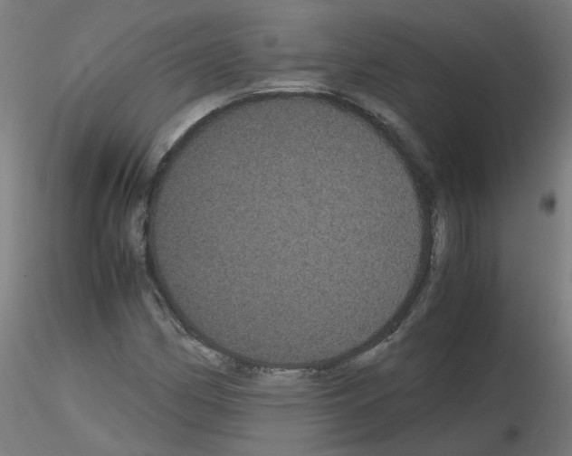 X0000116121162201001040944