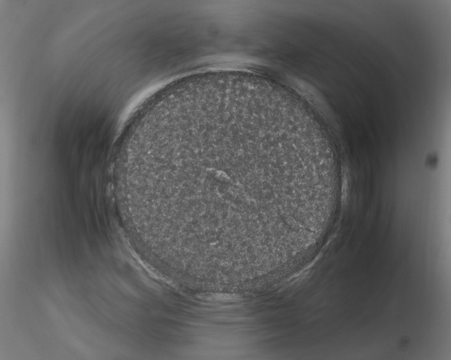 X0000116121164201001040944