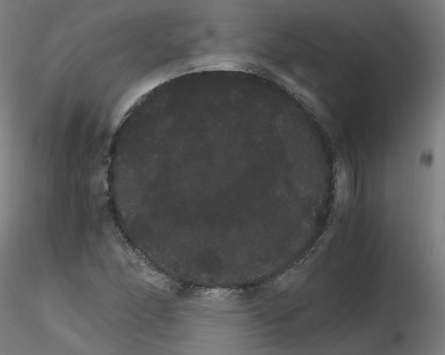 X0000116121166201001040944